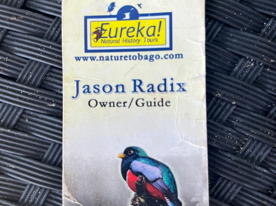 Eureka Natural History Tours-斯卡伯勒必去景点