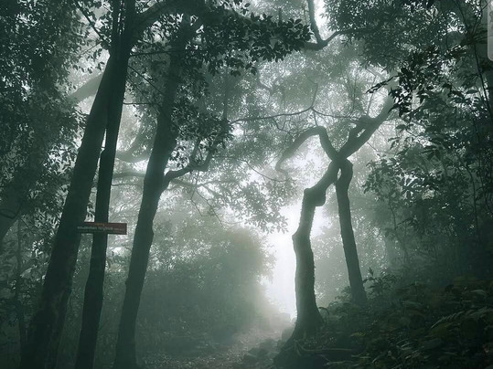 Paithalmala Hill Station-Paithalmala必去景点