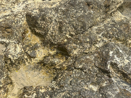 可兰岛（珊瑚岛）-芭堤雅必去景点