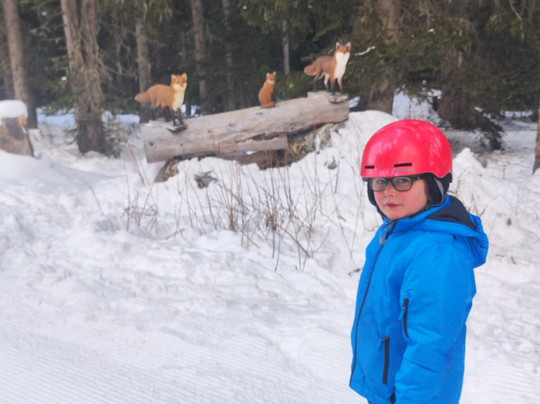 The Snow School-梅瑞贝尔必去景点