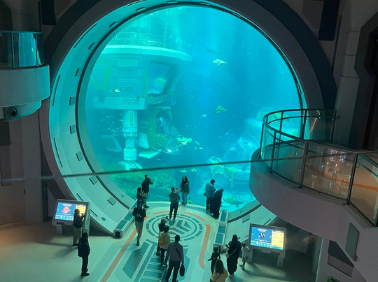 SeaWorld Yas Island Abu Dhabi-阿布扎比必去景点