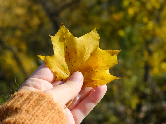 Tenczyn Castle-Rudno必去景点