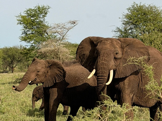 Tansania Reiseabenteuer SDL GmbH-柏林必去景点