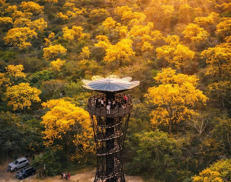 Reserva Ecológica Arenillas-Arenillas必去景点