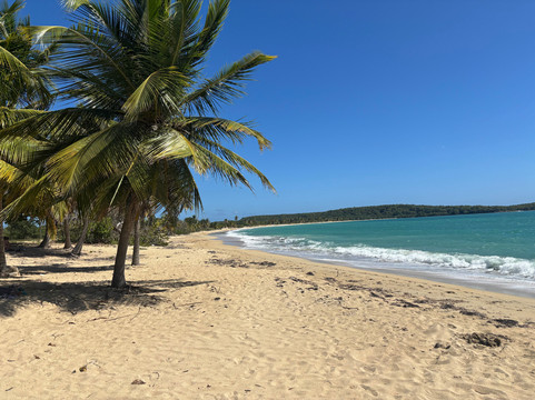 Coco Loco Guesthouse主图