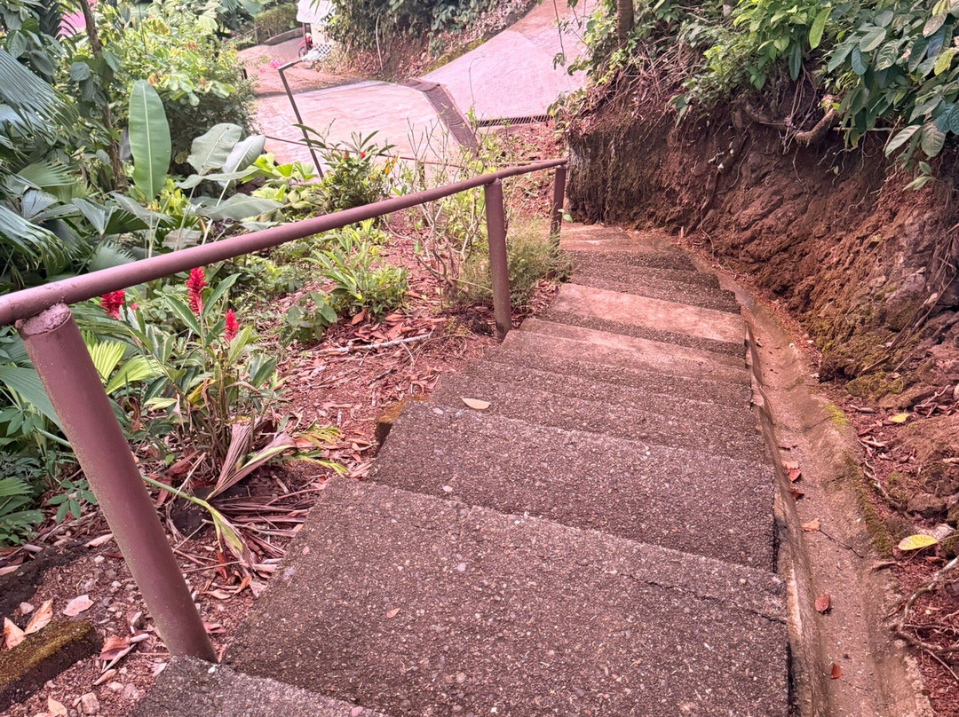 基内特斯德奥萨酒店主图