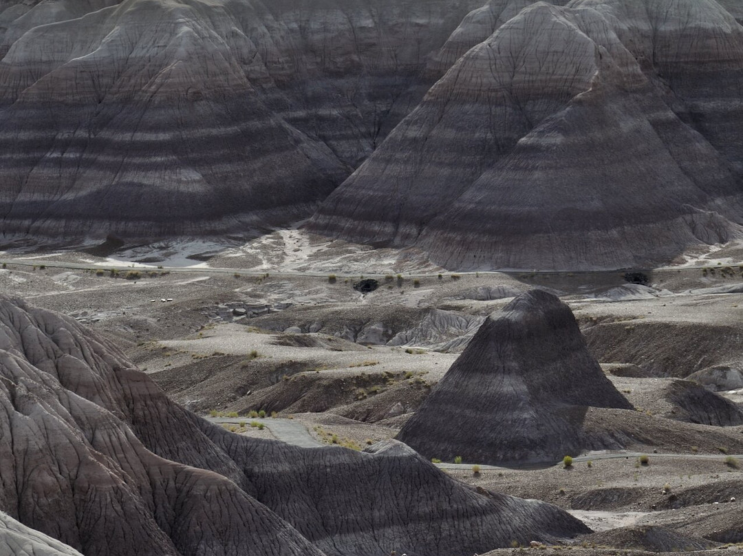 Petrified Forest National Park-霍尔布鲁克必去景点