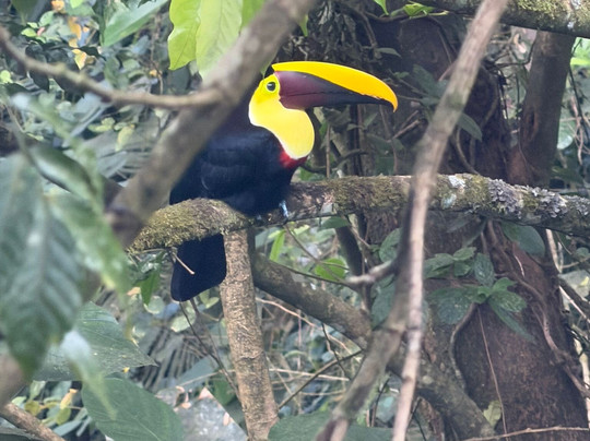 Alejandro Chaves Viquez Tour Guide-圣何塞必去景点