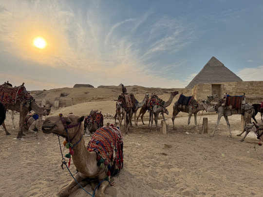 Nobatia Tours-吉萨必去景点