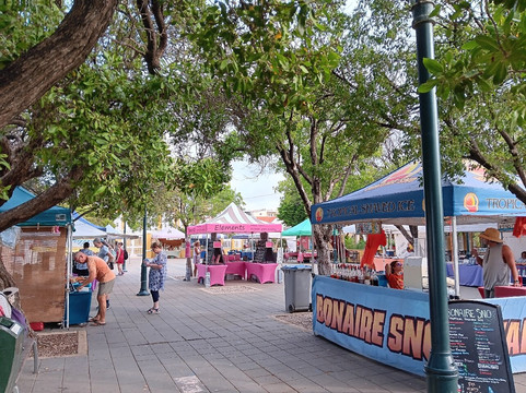 Bonaire Arts and Crafts Cruise Market-Kralendijk必去景点