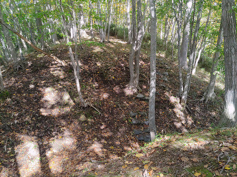 Sakuraoka Chashi-厚真町必去景点