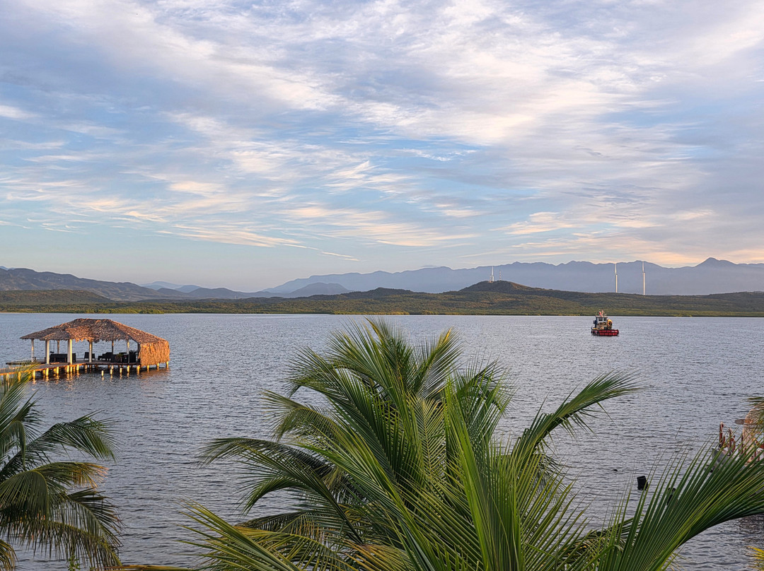 萨瓦萨利纳斯酒店主图