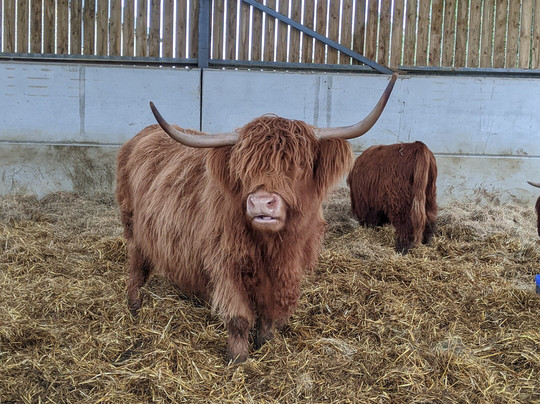 Colready Highlands-Brackley必去景点