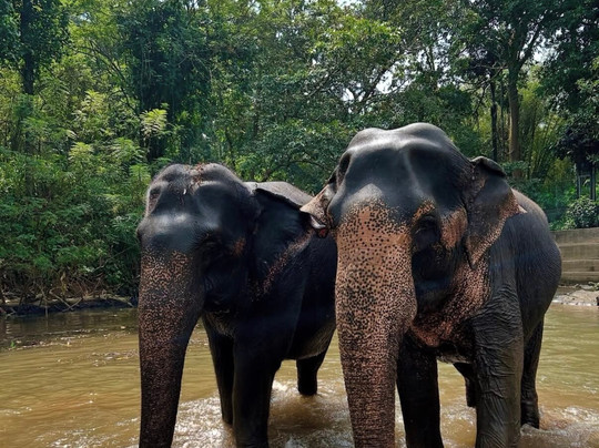 Ciao Bella Holidays-Malabe必去景点