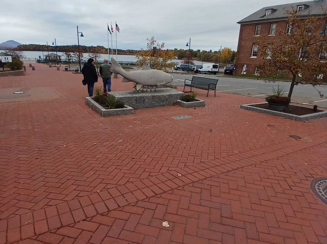 Pomerleau Park-Newport必去景点