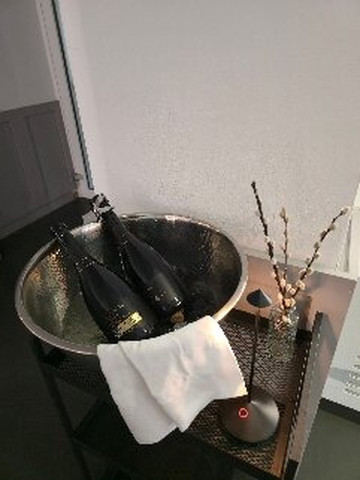 斯拉蒂纳酒店主图