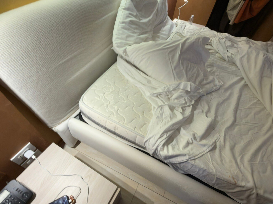 德利阿弗莱斯奇酒店主图