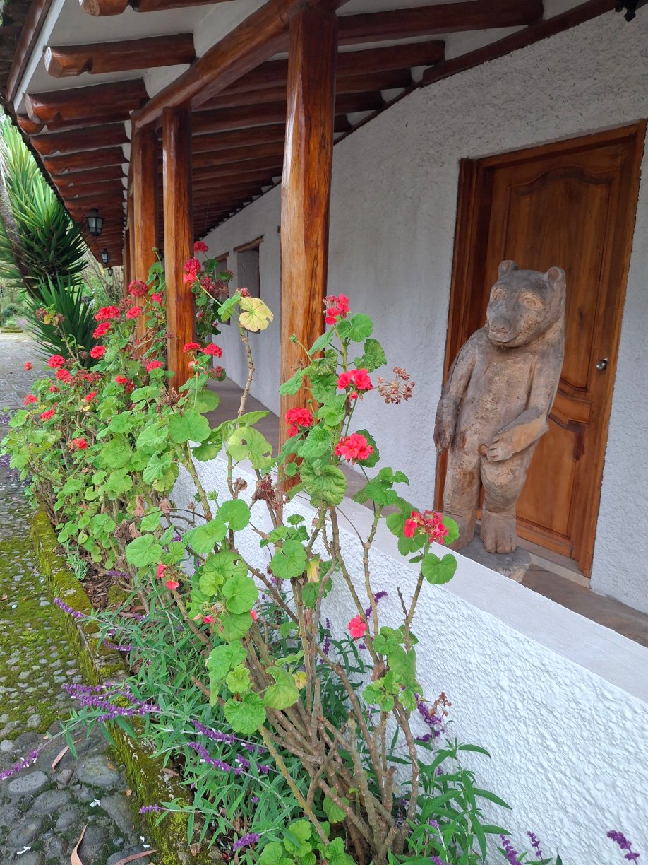 San Jorge Eco-Lodge & Botanical Reserve-客卧