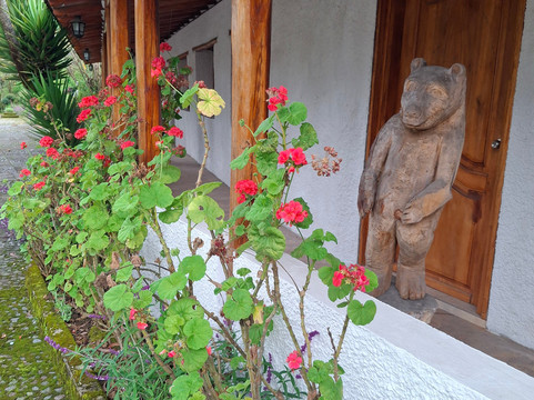 San Jorge Eco-Lodge & Botanical Reserve主图