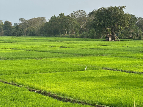 锡吉里亚藏身之处别墅主图