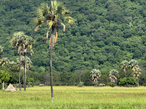 Anake Taxi And Tours Services-里朗威必去景点