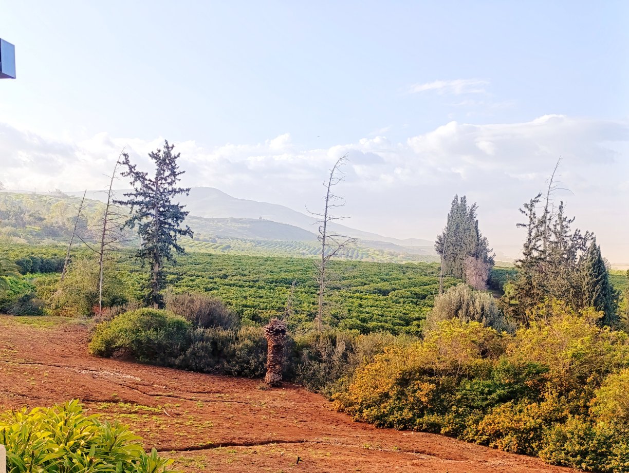 Ramot Resort Hotel-酒店景观