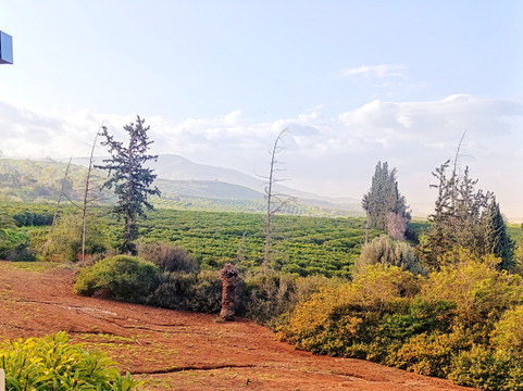 Ramot Resort Hotel主图