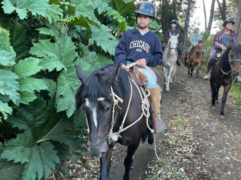 Rancho Pullao-Castro必去景点