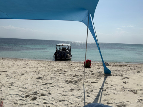 Daymaniat Shells-马斯喀特必去景点