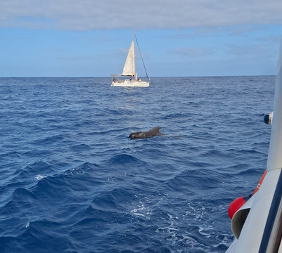 Opera 60 Luxury Charters-奥德杰海岸必去景点