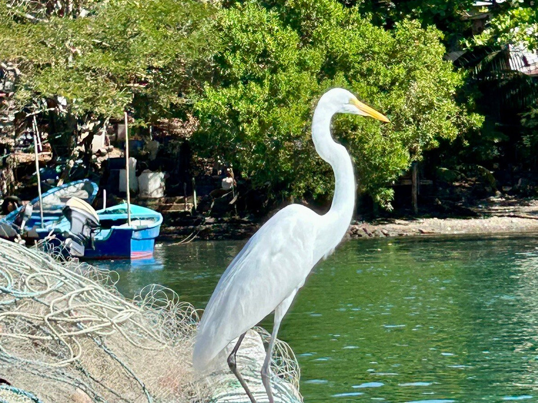 海滨里卡钓鱼独木舟旅馆主图