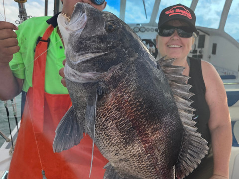 St Francis Safaris-Port St Francis必去景点