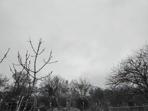 雷兹令克酒店主图