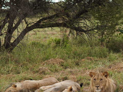 Bridge and Beyond-布莱恩斯顿必去景点