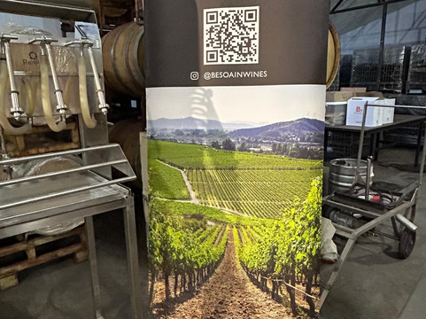 Besoain Wines-Pirque必去景点