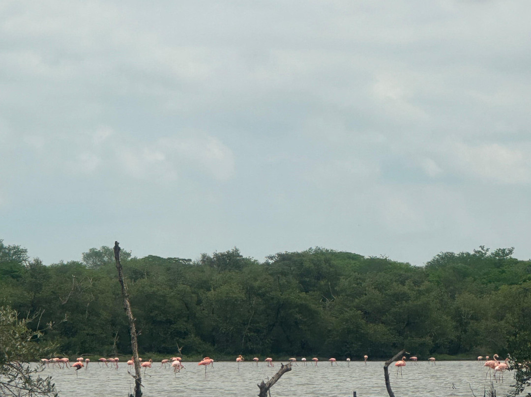 TAROA TOURS-Riohacha必去景点