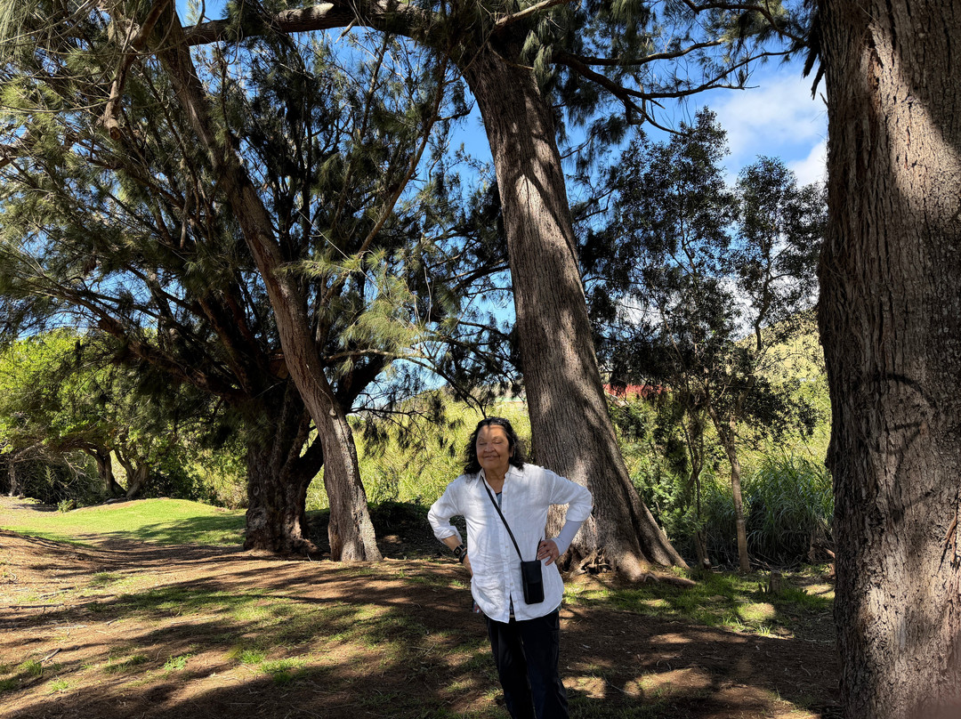 Ulu La'au (waimea Nature Park)-卡慕也拉必去景点