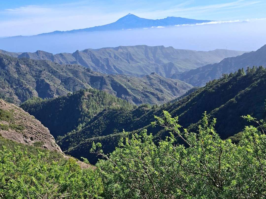 Ipalan Hiking Guided Tour-阿拉赫罗必去景点
