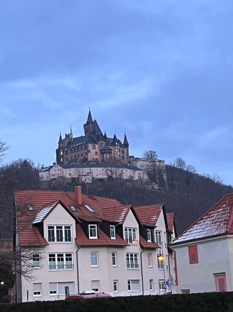 斯古勒宫酒店-官方