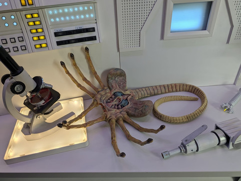 Museo Alien-巴塞罗那必去景点