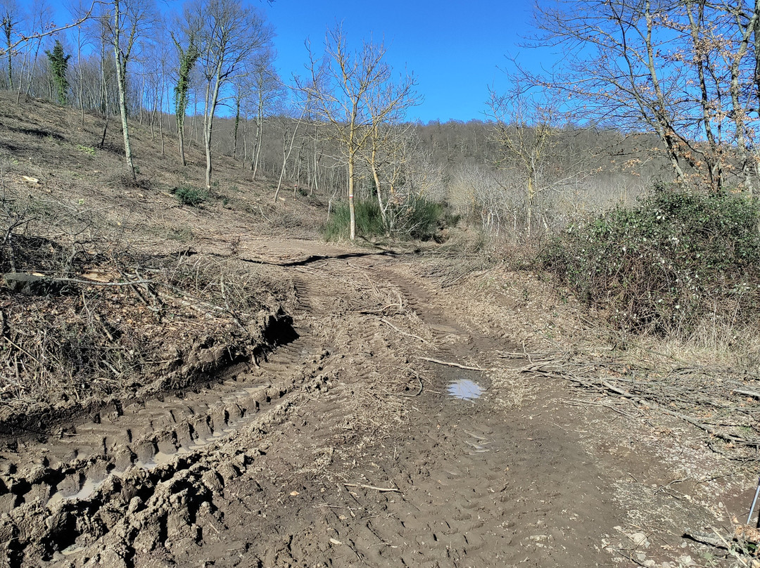 Via Francigena Tappa 37 Acquapendente - Bolsena-Acquapendente必去景点