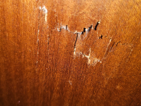 伟大民族戈默索尔公园梦幻水疗酒店主图