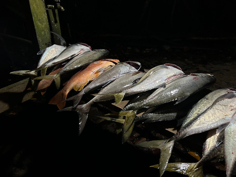 自然度假酒店主图