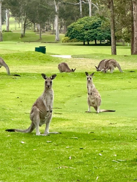 车夫伊甸园旅馆-官方