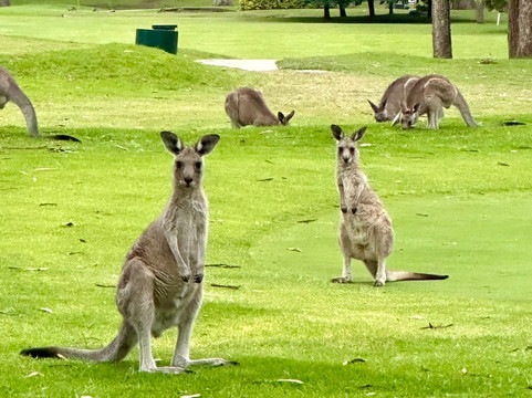 车夫伊甸园旅馆主图