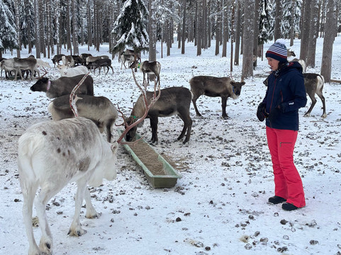 Openlappland-Amsele必去景点
