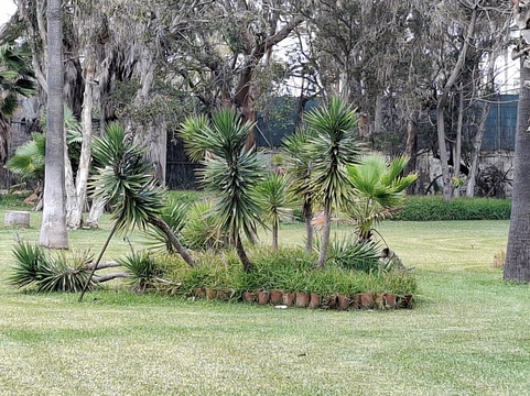 Memorial Rey Balduino / Villa Astrida-莫特里尔必去景点