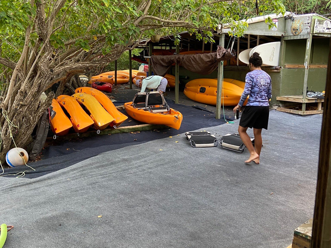 Virgin Kayak Tours-圣克鲁斯必去景点