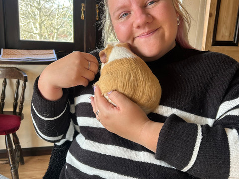 Cavies & Cake-Fakenham必去景点