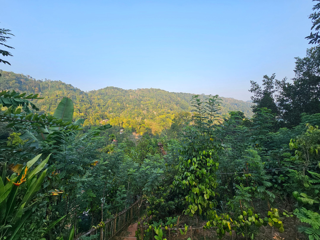 Pepper Villa Homestay